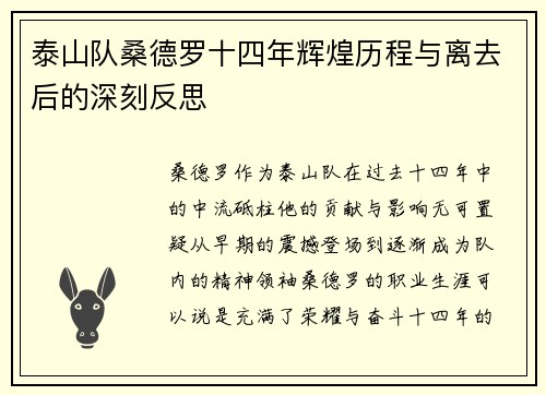泰山队桑德罗十四年辉煌历程与离去后的深刻反思