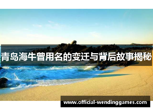 青岛海牛曾用名的变迁与背后故事揭秘