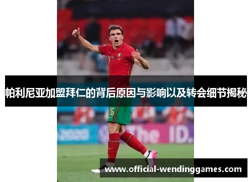 帕利尼亚加盟拜仁的背后原因与影响以及转会细节揭秘