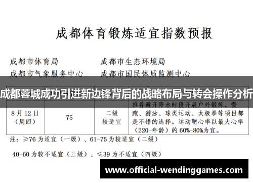 成都蓉城成功引进新边锋背后的战略布局与转会操作分析