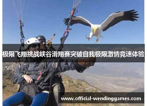 极限飞翔挑战峡谷滑翔赛突破自我极限激情竞速体验