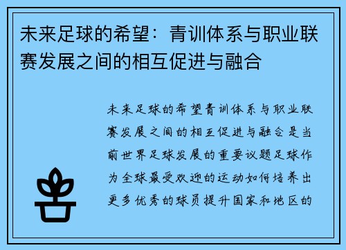 未来足球的希望：青训体系与职业联赛发展之间的相互促进与融合